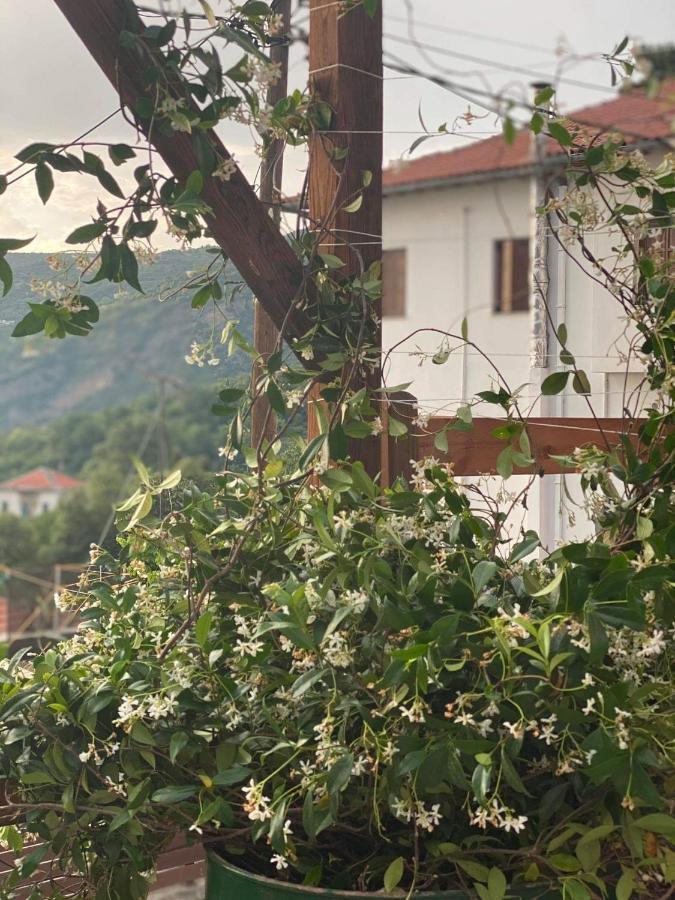 Karavos Hotel Portariá Buitenkant foto